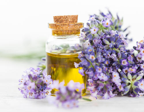 Lavender liquid extract